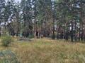 Участок · 20 соток, Щербаково, Щербаково Щербаково База отдыха "MUNCHE за 26 млн 〒 в Костанайской обл. — фото 24