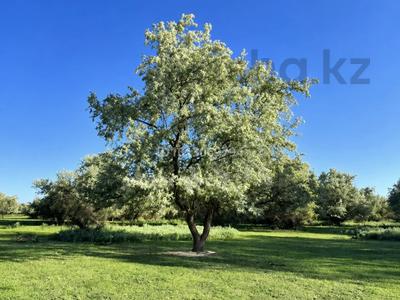 Участок · 10 соток, мкр Северо-Западный за 10 млн ₸ в Талдыкоргане