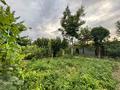 Отдельный дом · 5 комнат · 500 м² · 14 сот., Жибек жолы 70 — Енбек. Корзина за 120 млн ₸ в Таразе — фото 8