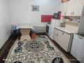 Отдельный дом · 2 комнаты · 45 м² · , мкр Нуршуак, Назконыр 81 за 23 млн ₸ в Шымкенте, Абайский р-н — фото 8