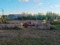 Отдельный дом · 4 комнаты · 180 м² · 15 сот., Курганская за 35 млн ₸ в Петропавловске — фото 20