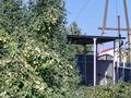 Дача · 3 комнаты · 100 м² · 6 сот., Виноградная — Рядом с японским заливом за 110 000 ₸ в Темиртау — фото 7