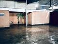 Отдельный дом · 4 комнаты · 146.7 м² · 5 сот., 1 пер К.Жалаири 11В — Химпоселок мeжду улиц Ниеткалиева и Рахимова (за школой гимназии№7) за 48 млн ₸ в Таразе — фото 21