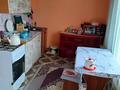 Отдельный дом · 2 комнаты · 65 м² · 6 сот., Кызылорда тасбогет ул Махамбетова 3д.Тасбогет 3 д — Возле дамбы за 7.5 млн ₸ — фото 16