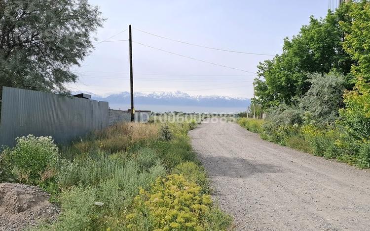 Отдельный дом · 2 комнаты · 36 м² · 8 сот., Новая 15 — Магазин мелиса за 6 млн 〒 в Остемире — фото 2