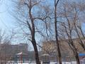 1-бөлмелі пәтер · 32 м² · 1/5 қабат, Пришахтинск, Пришахтинск, 22й микрорайон 1а — Зелинского, бағасы: 110 000 ₸ в Караганде, Алихана Бокейханова р-н — фото 14