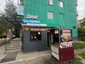 Мини маркет ДИАС · 42.7 м² за 41 млн ₸ в Семее