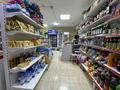 Магазины и бутики • 40 м² за 19 млн 〒 в Астане, Нура р-н — фото 5