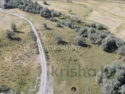 Жер телімі · 1 га, Көктал, бағасы: 85 млн ₸ в Коктал