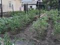 Отдельный дом · 4 комнаты · 66 м² · 8 сот., Переулок кирпичный 24 за 15 млн ₸ в Караганде, Казыбек би р-н — фото 12