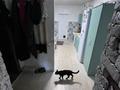 Отдельный дом · 4 комнаты · 66 м² · 8 сот., Переулок кирпичный 24 за 15 млн ₸ в Караганде, Казыбек би р-н — фото 15