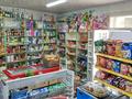 Свободное назначение, магазины и бутики • 62 м² за 32 млн 〒 в Шымкенте, Аль-Фарабийский р-н — фото 11