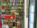 Свободное назначение, магазины и бутики • 62 м² за 32 млн 〒 в Шымкенте, Аль-Фарабийский р-н — фото 13