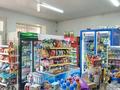 Свободное назначение, магазины и бутики • 62 м² за 32 млн 〒 в Шымкенте, Аль-Фарабийский р-н — фото 8