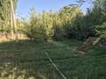 Участок · 15 соток, Егизбаева первая линия за 12 млн ₸ в Гродеково