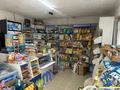 Магазины и бутики · 50 м² за 150 000 ₸ в Талдыкоргане, село Ынтымак