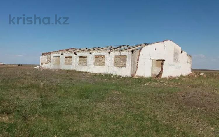 Еркін · 660 м², бағасы: 500 000 ₸ в Кишкенеколе — фото 2