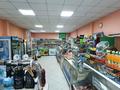Магазины и бутики • 160 м² за 40 млн 〒 в Усть-Каменогорске — фото 4