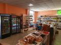 Магазины и бутики • 160 м² за 40 млн 〒 в Усть-Каменогорске — фото 8