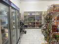 Магазины и бутики • 80 м² за 65 млн 〒 в Шымкенте, Каратауский р-н — фото 10