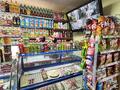 Магазины и бутики · 119 м² за 77 млн ₸ в Караганде, Алихана Бокейханова р-н — фото 26