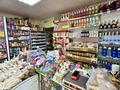 Магазины и бутики · 119 м² за 77 млн ₸ в Караганде, Алихана Бокейханова р-н — фото 28