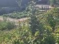 Жеке үй · 4 бөлме · 220 м² · 13 жүзд., Дармен 10, бағасы: 130 млн ₸ в Актобе, жилой массив Юго-Запад-1 — фото 28