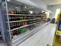 Отдельный дом · 5 комнат · 160 м² · 13.5 сот., Жоламан 59 за 150 млн ₸ в  — фото 47