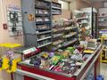 Магазины и бутики · 49 м² за 42 млн ₸ в Астане, Сарайшык р-н — фото 13
