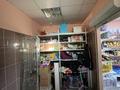 Магазины и бутики · 49 м² за 42 млн ₸ в Астане, Сарайшык р-н — фото 15