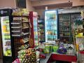 Магазины и бутики · 49 м² за 42 млн ₸ в Астане, Сарайшык р-н — фото 4