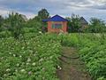 Дача · 2 комнаты · 50 м² · 10 сот., Садовое общество №6 за 850 000 ₸ в Рудном — фото 10