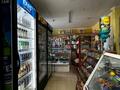 ПРОДУКТОВЫЙ МАГАЗИН · 60 м² за 20 млн ₸ в Семее — фото 3