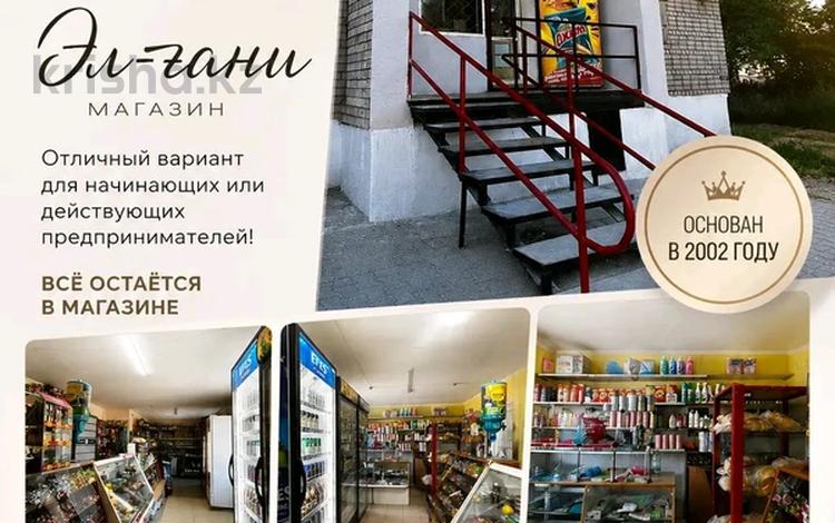 ПРОДУКТОВЫЙ МАГАЗИН · 60 м² за 20 млн ₸ в Семее — фото 6