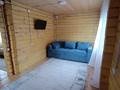 Отдельный дом · 3 комнаты · 60 м² · 9 сот., На берегу 15 — Лодочная за 60 млн ₸ в Новой бухтарме — фото 12