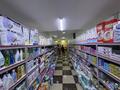 Магазин хоз товаров · 55 м² за 17 млн ₸ в Каскелене — фото 3