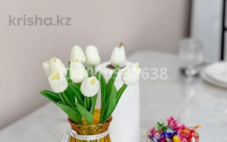 2-бөлмелі пәтер · 62 м², Рыскулова — Омарова, бағасы: 12 000 ₸ в Алматы, Алатауский р-н — фото 2