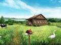 КХ, откорм, ферма · 1000 м² за 24 млн ₸ в Мичуринское