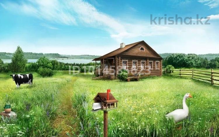 КХ, откорм, ферма · 1000 м² за 24 млн ₸ в Мичуринское — фото 12
