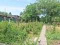 Отдельный дом · 4 комнаты · 40 м² · 10 сот., Клубнечная 40 за 15 млн ₸ в Есик — фото 9