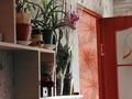 Часть дома · 3 комнаты · 60 м² · 2.3 сот., Переулок Белякова 3 — Герцена за 16.7 млн ₸ в Астане, Сарыарка р-н