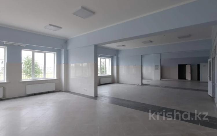 Өнеркәсіптік база · 1.2 га, А355 2/1А, бағасы: ~ 1.1 млн ₸ в Астане, Алматы р-н — фото 31