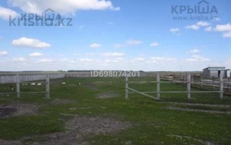 Участок · 10 соток, Северо-Казахстанская обл. за 1.5 млн ₸ — фото 2