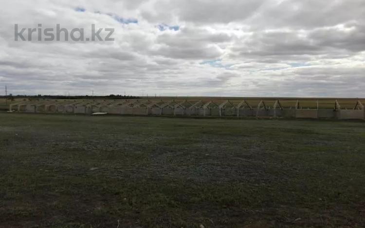 Сельское хозяйство • 2720 м² за 600 000 〒 в Северо-Казахстанской обл. — фото 2