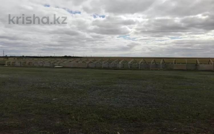 Сельское хозяйство · 2720 м² за 600 000 ₸ в Северо-Казахстанской обл. — фото 2