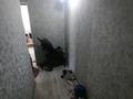 2-комнатная квартира, 41 м², 3/4 этаж, Жангельдина за 17.5 млн 〒 в Шымкенте, Аль-Фарабийский р-н — фото 7