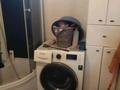 Отдельный дом · 2 комнаты · 62.3 м² · 10.5 сот., Микрорайон Береке 3 — 67квартал за 37 млн ₸ в Костанае — фото 15
