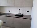 1-комнатная квартира · 45 м² · 7/12 этаж, мкр Нурсат 2 4 — Рахима Плаза. НИШ за 200 000 ₸ в Шымкенте, Каратауский р-н — фото 5