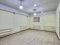 Дүкендер мен бутиктер, қоймалар, қоғамдық тамақтану орны · 50.2 м², бағасы: 11 млн ₸ в Астане, Алматы р-н — фото 2