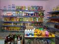 Магазины и бутики • 180 м² за 31 млн 〒 в Шымкенте, Аль-Фарабийский р-н — фото 10